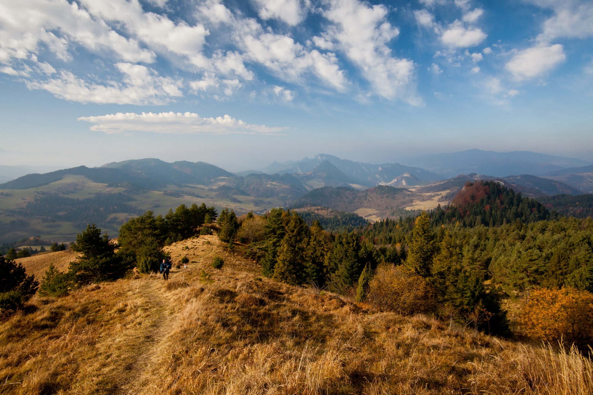 Widok na szlak na Wysoki Wierch
