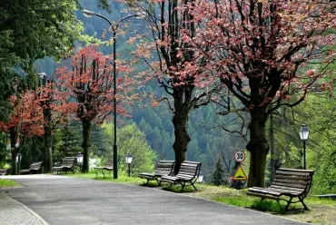 Szczawnica i okolice - co warto zobaczyć?
